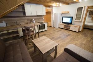 Apartment with Mountain View room in Penzión Poľana