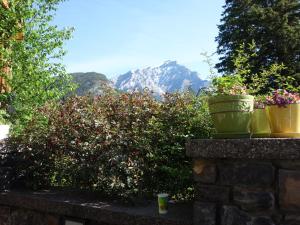 Buffaloberry Bed & Breakfast