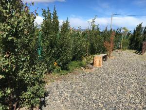 Casa Patagónica Los Frutales