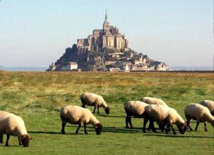 LEPETIT NID DU MONT Maison normande proche de la baie du Mont Saint Michel