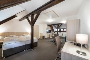 Large Attic Apartment room in Pension Galko