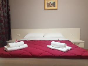 CityHeart Apartment Tirana Near Skanderbeg Square by Robert