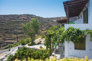 Agnanti Traditional Sifnos Greece