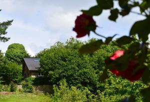 Maisons de vacances Gite la Baudriere : photos des chambres