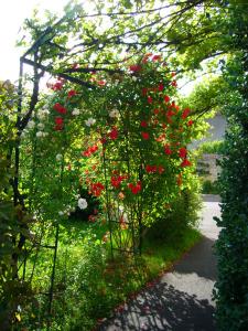 Hotels Hotel La Villa Fleurie : photos des chambres