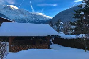 Chalets Alpen Lounge : photos des chambres