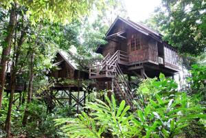 obrázek - Permai Rainforest Resort