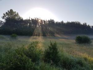 Domki Drewniane Przystań Kajaczek