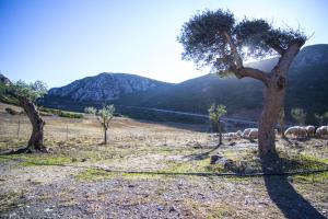 Agriturismo Sa Rocca img30