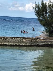 Alexanders Penthouse on the beach