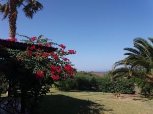 Villa Kos Kos Greece