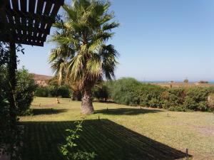Villa Kos Kos Greece
