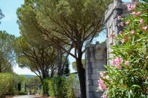 Campings Domaine de Verdagne : photos des chambres