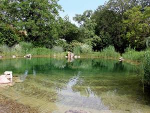 Maison charmante à Saint-Cybranet avec grand jardin, piscine