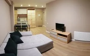 Orbi Palace Bakuriani 321 - 巴库里阿尼