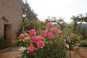 Maisons d'hotes Hermitage St Roch : photos des chambres