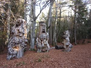 Maisons d'hotes Gite Le Cerf de Belledonne : photos des chambres