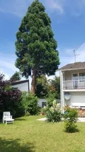 Ferienwohnung Schlossblick - Zwingenberg