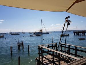 Maisons de vacances Salamandre et Hippocampe : photos des chambres