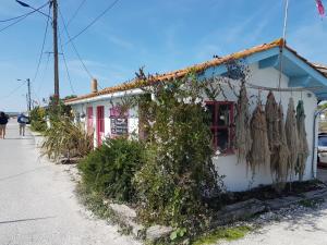 Maisons de vacances Salamandre et Hippocampe : photos des chambres