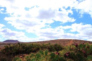 MONTAÑA VALLES DE ORTEGA - A