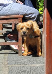 Strawberry Bank, Cartmel Fell, Grange over Sands, Cumbria LA11 6NW, England.