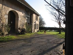 B&B / Chambres d'hotes Chez Robert et Catherine : photos des chambres