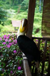 Rinjani Mountain Garden
