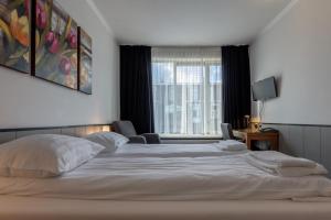 Standard Single Room room in Hotel Randenbroek