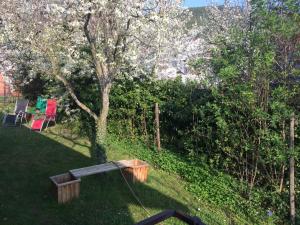 schones Zimmer in Gimmeldingen Konigsbach