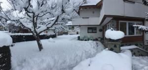 Appartement Elisabeth inklusive Summer Card