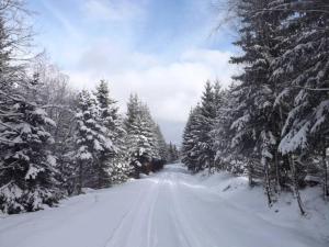 Chalupa Denis & Marek