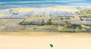 Vistas a la Ría de Arousa - 维拉加尔西亚·德·阿劳萨