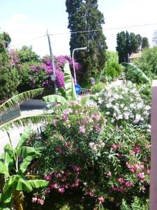 Casa Vacanza Appartamenti Al Mare img43