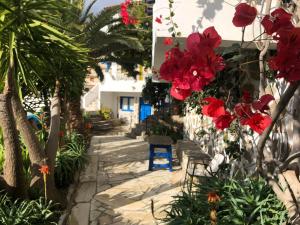 Patras Apartments Fourni-Korseon Greece