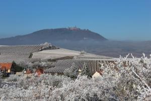 Gite coté jardin FAHRER ACKERMANN