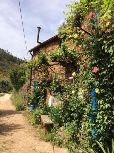Guest Room Agro-turismo Quinta da Fonte Bed&Breakfast