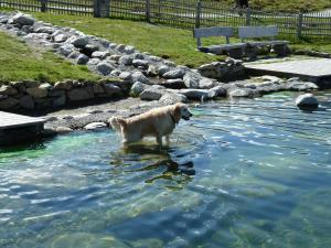 Appartements Wasserfälle