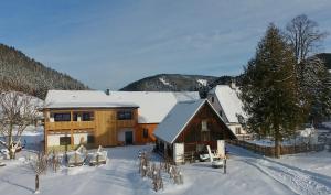 Ferienwohnungen Orth