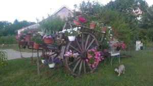 Maisons de vacances Gite la mirabelle : photos des chambres