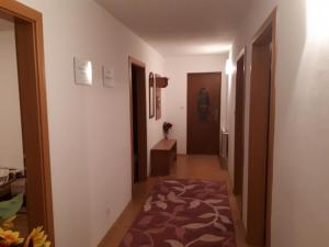 Standard Double Room with Shared Bathroom room in Homestay Renata