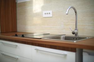 Modern Downtown Apartment (with Garage)