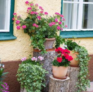 Ferienwohnung Alpenblick