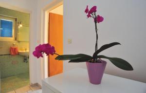 Apartman JADRANKO Murter in a quiet environment near the center and the beach