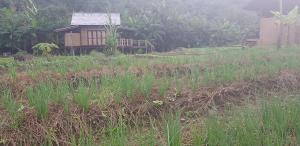 Namkat Yorla Pa Resort