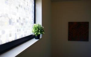 Lucys House 横浜中華街 House2