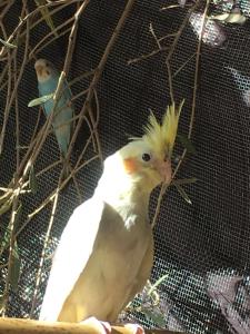 Escale Rando Taliouine