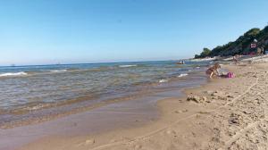 Szafranówka