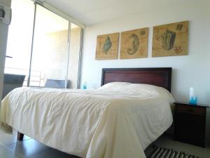 Costa Algarrobo Norte