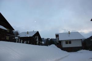 Apartmán Essi Tále- Chopok